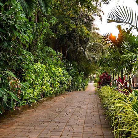 Fahrenheit Hotels & Resorts Baga Exterior photo